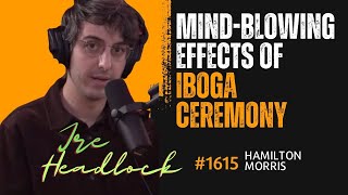 |Hamilton Morris Experiences| Mind-Blowing Effects of Iboga Ceremony in Gabon|