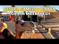 Worth the HYPE? Agafay Desert Sunset, Camel Ride, and Dinner Tour from Marrakesh, Morocco - Day trip