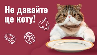 ЧИМ НЕ МОЖНА ГОДУВАТИ КОТА | ЗАБОРОНЕНІ ПРОДУКТИ