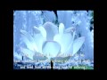 The High King Avalokitesvara Sutra 高王觀世音真經(English Captions)