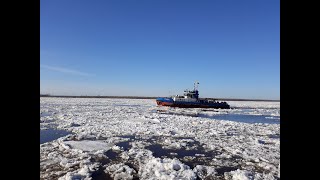 Ice drift 2021. Ледоход в Архангельске.   4K.