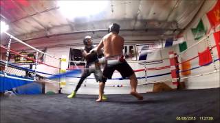 Hybrid Martial Arts and Fitness Gym Video