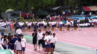 20170506 平成29年度　第1回堺市陸協記録会　1年女子　100m　T決勝　15組　Q