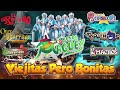 tecno bandas mejor musica ✅ banda machos banda maguey banda cuisillos banda el recodo ...🔥