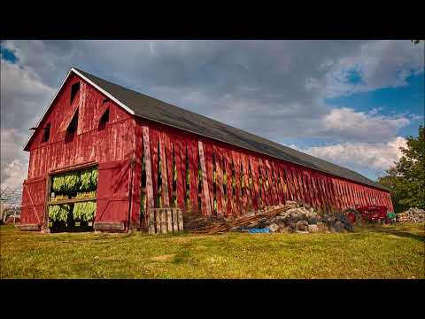 Which colony in Virginia made a large amount of money on tobacco?