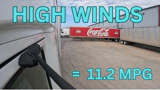 Scary High Winds VLOG #504