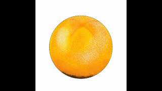 Tutorial menggambar jeruk
