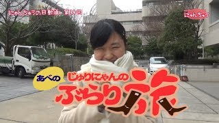 にゃんちゅうの日動画～その34～