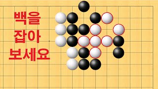 바둑 맥점 사활 - 기가막힌 묘수가 나옵니다! 백을 잡아보세요