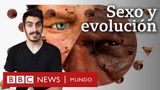 Cómo tener sexo con los neandertales nos cambió para siempre | BBC Mundo