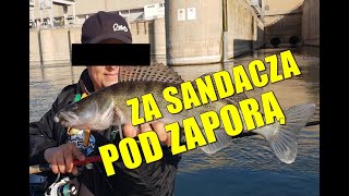 POSZEDŁ SIEDZIEĆ ZA SANDACZA? SZOK!