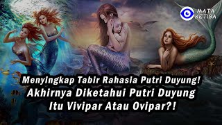 Tabir Rahasia Putri Duyung! Akhirnya Diketahui Putri Duyung itu Vivipar atau Ovipar