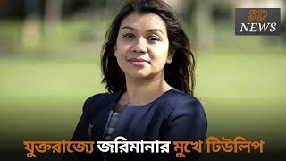 যুক্তরাজ্যে জরিমানার মুখে টিউলিপ।