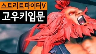 [케인 스파5] 고우키 입문 (켄보다 좋네) 170103