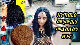 ፀጉሪ መንውሕን መለስልስ ናይ እንጣጢዕ ጅል (የተልባ ጅል)