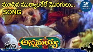 Musina MutyalaKele Moragulu Song | Annamayya Movie | Nagarjuna, Ramya Krishna | New Waves Talkies