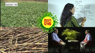 ଆମ ଚାଷ (94 ଅଧ୍ୟାୟ) | Aama Chaasa (Episode 94)