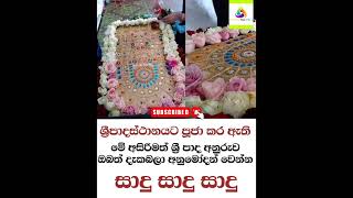 සාදු සාදු සාදු 🌼🌼🙏🙏 මාගේ නමස්කාරය වේවා ! #budubanasinhala