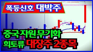 폭등신호 관세전쟁 대장주 딱 2종목(중국 자원 무기화 대박주)