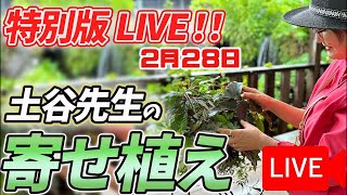 《生配信！》2月28日土谷ますみ先生の寄せ植えをLIVEにてご紹介！グリーンギャラリーガーデンズ八王子店より！後半に堀田店長も登場！