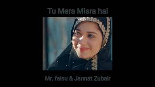 Tu Mera Misra Hai | Jannat Zubair & Mr. Faisu | Bhanu Pandit | Anita Bhatt | New Romantic Song 2021