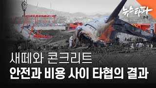 새떼와 콘크리트... 안전과 비용 사이 타협의 결과 - 뉴스타파