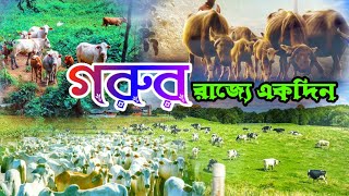 বাংলাদেশের সর্ববৃহৎ গো-চারণ।ভূমি যেখানে মুক্তভাবে পালন করা হয় কয়েক হাজার গরু।