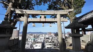 【注意】長生きしたかったら諏訪神社（徳島市）にだけは行くな！