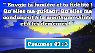 Prière inspirée du jour #91 – Psaumes 43 : 3