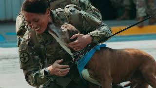 Memorial Day 2020 "We Remember"