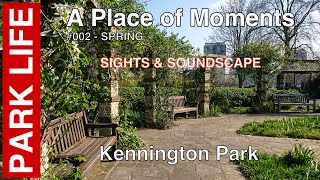 Kennington Park: Springtime Sights and Soundscape - 002 | Relaxing Urban Nature