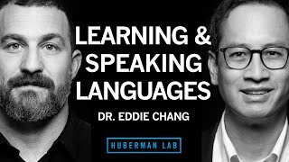 Dr. Eddie Chang: The Science of Learning & Speaking Languages | Huberman Lab Pod
