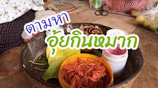 ตามหา \