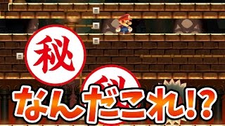 【マリオメーカー】光り輝く２つのガリガリが素敵すぎる！【実況プレイ】