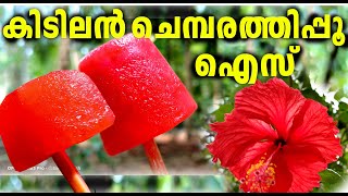 How to make Hibiscus ice cubes I വളരെ എളുപ്പത്തിൽ ചെമ്പരത്തി പൂവ്കൊണ്ട് ഐസ്ഉണ്ടാക്കാം #SanchariBabu