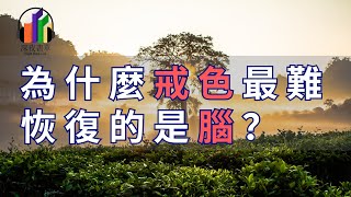 為什麼戒色最難恢復的是腦？怎么做，让我们的身体离完美状态近一步？