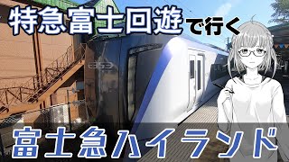 【E353系特急富士回遊】えきねっと格安ツアーで日帰り富士急ハイランド【E353系シリーズ②】