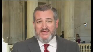 Ted Cruz humiliates himself with INSANE comment on air