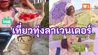 เที่ยวทุ่งลาเวนเดอร์ ของเชฟชุมพล | Baby Bey