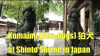 Komainu (lion-dogs) at Shinto Shrine in Japan 狛犬