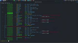 Reverse Engineering: Binary Patching with radare2 - Bypassing Flag Comparison.