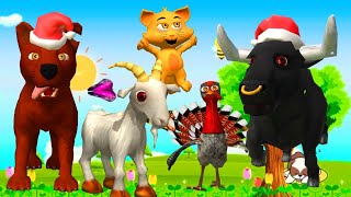 El Pollito pìo 3d | Los Pollitos dicen pìo pìo | El Dinosaurio y Tractor vs toro | El Tractor a566