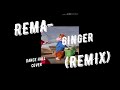 Rema - Ginger Me ( REMIX COVER )