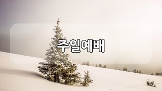 대구신광교회 주일예배 (25.01.12)