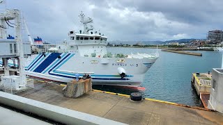 🚢ダイヤモンドいき - Diamond Iki佐賀県唐津市～長崎県壱岐島Karatsu city Saga Japan~IKI island Nagasaki Japan