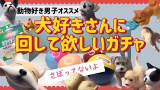 ◆動物好き男子が選ぶ◆犬好きさんにオススメしたいガチャガチャ（5種類開封動画）