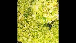 ഇന്നത്തെ കറികൾ 🥰#shortsvideo #cookingrecipes #recipe