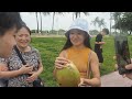 マイアミ！とれたてヤシの実ジュースを飲む！miami drink freshly picked coconut juice