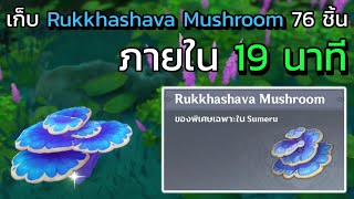 [Genshin impact] เก็บ Rukkhashava Mushroom 76 ชิ้น ภายใน 19 นาที