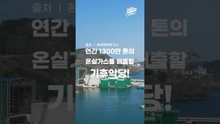 연간 1,300만 톤의 온실가스를 배출할 기후악당, 삼척블루파워 석탄화력발전소! #shorts